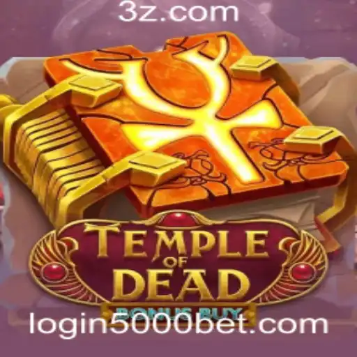 5000 bet login Casino App